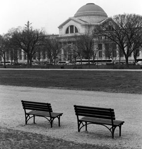 Mall-Benches.jpg